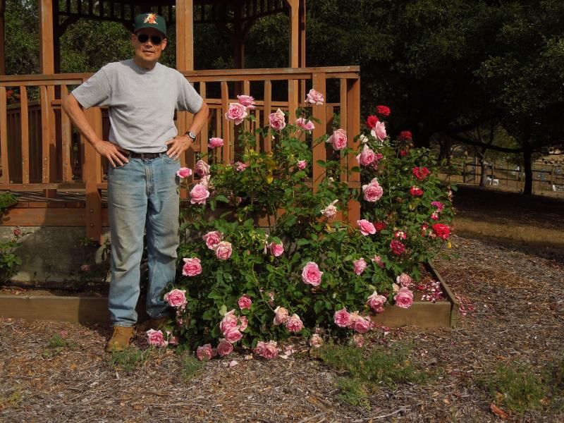  photo DSCN0634_zpsa4333859.jpg